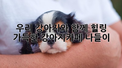 우리 강아지와 함께 힐링 가득한 강아지카페 나들이