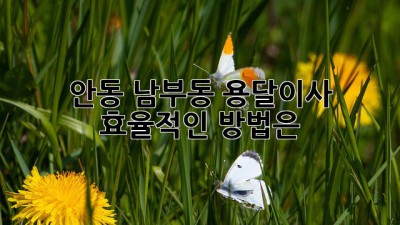 안동 남부동 용달이사: 효율적인 방법은?