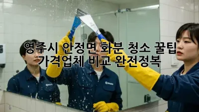 영주시 안정면 화분 청소 꿀팁 🍯 가격/업체 비교 완전정복!