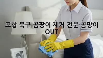 포항 북구 곰팡이 제거 전문, 곰팡이 OUT! 💨